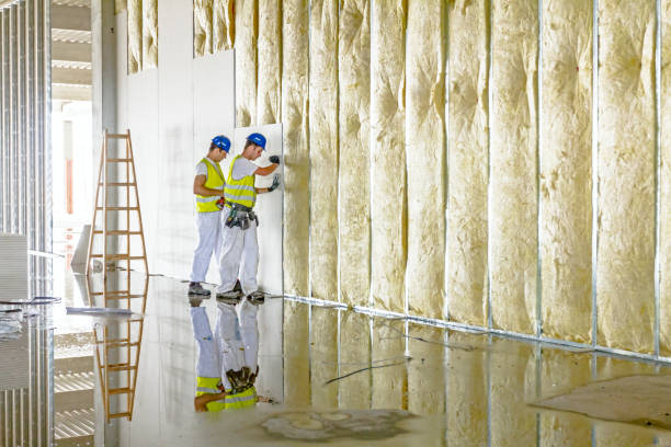 Best Fiberglass Insulation in Espaola, NM